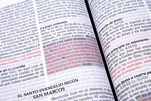 Santa Biblia de Promesas Reina Valera 1960 / Jesús para todos / Letra Grande / Tamaño Manual / Piel especial con cierre / Marfil // Spanish Promise ... with Zipper / Ivory (Spanish Edition)