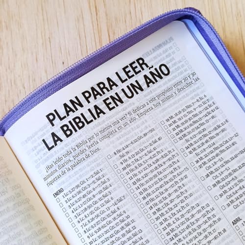 Biblia RVR60 - tamaño compacto con índice en la orilla y zipper, semi piel, negro