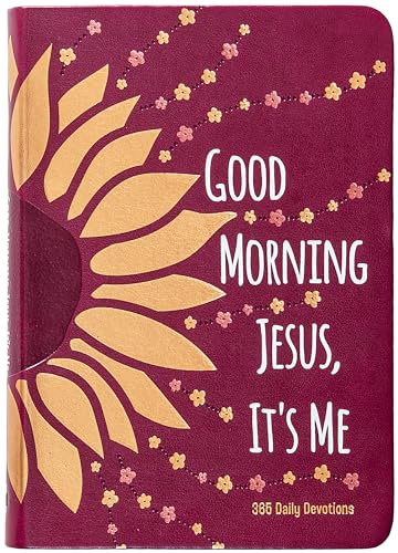 Good Morning Jesus It's Me: 365 Daily Devotions