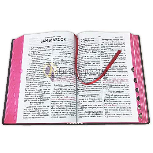 Biblia Letra Grande Concordancia Amplia RV1960, manual tapa vinilo, negro con indice