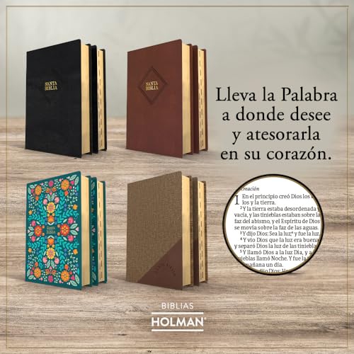 RVR 1960 Biblia letra grande tamaño manual, café, piel fabricada (edición 2023)/ RVR 1960 HSGP Bible Brown Bonded Leather 2023 edition: Con Referencias. Nueva Tipografía