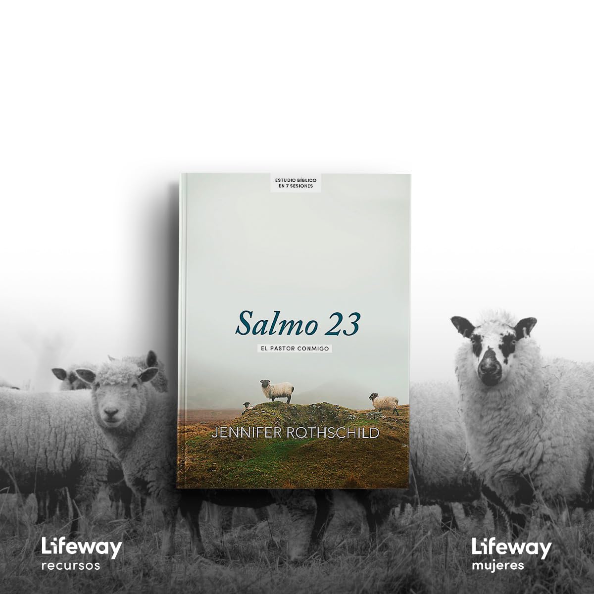 Salmo 23 - Estudio bíblico / SPA Psalm 23: El Pastor Conmigo