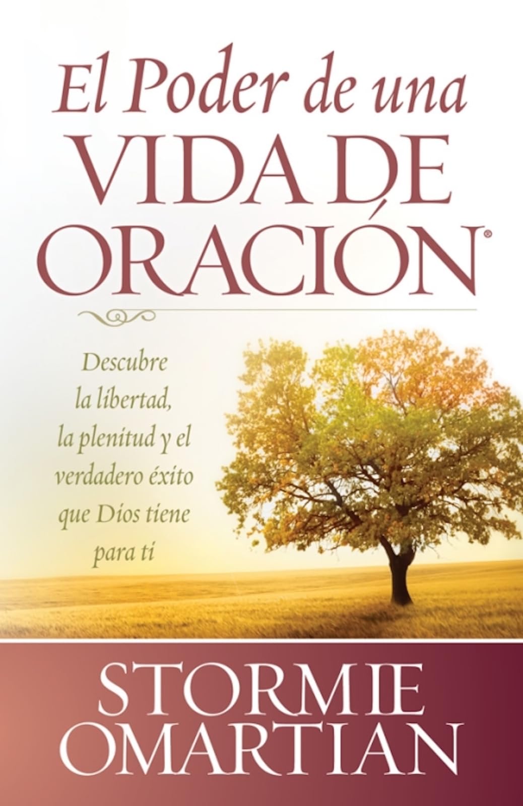El Poder de Una Vida de Oración: Descubre la Libertad, la Plenitud y el Verdadero Exito Que Dios Tiene Para Ti