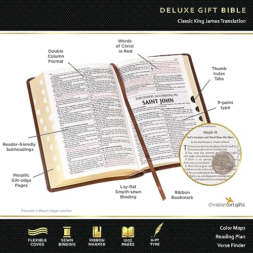 KJV Holy Bible Standard Size Faux Leather Red Letter Edition Thumb Index & Ribbon Marker, King James Version, Gray/Black, Zipper Closure