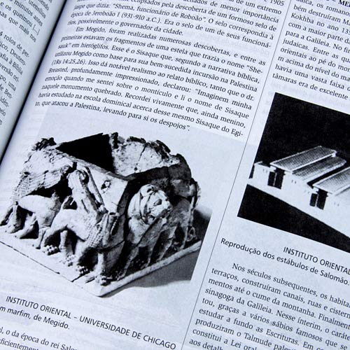 Biblia Thompson - Capa Luxo Azul E Cinza