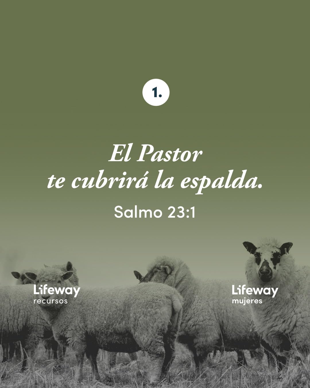 Salmo 23 - Estudio bíblico / SPA Psalm 23: El Pastor Conmigo