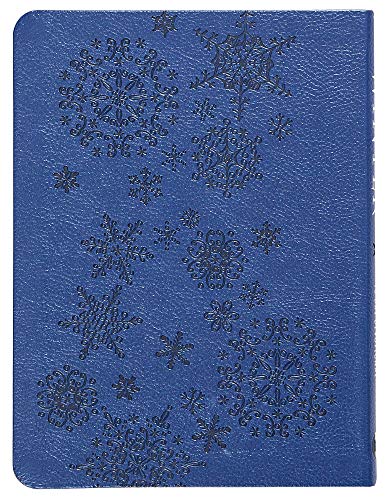 Winter: A Season of Celebration 90-day Devotional