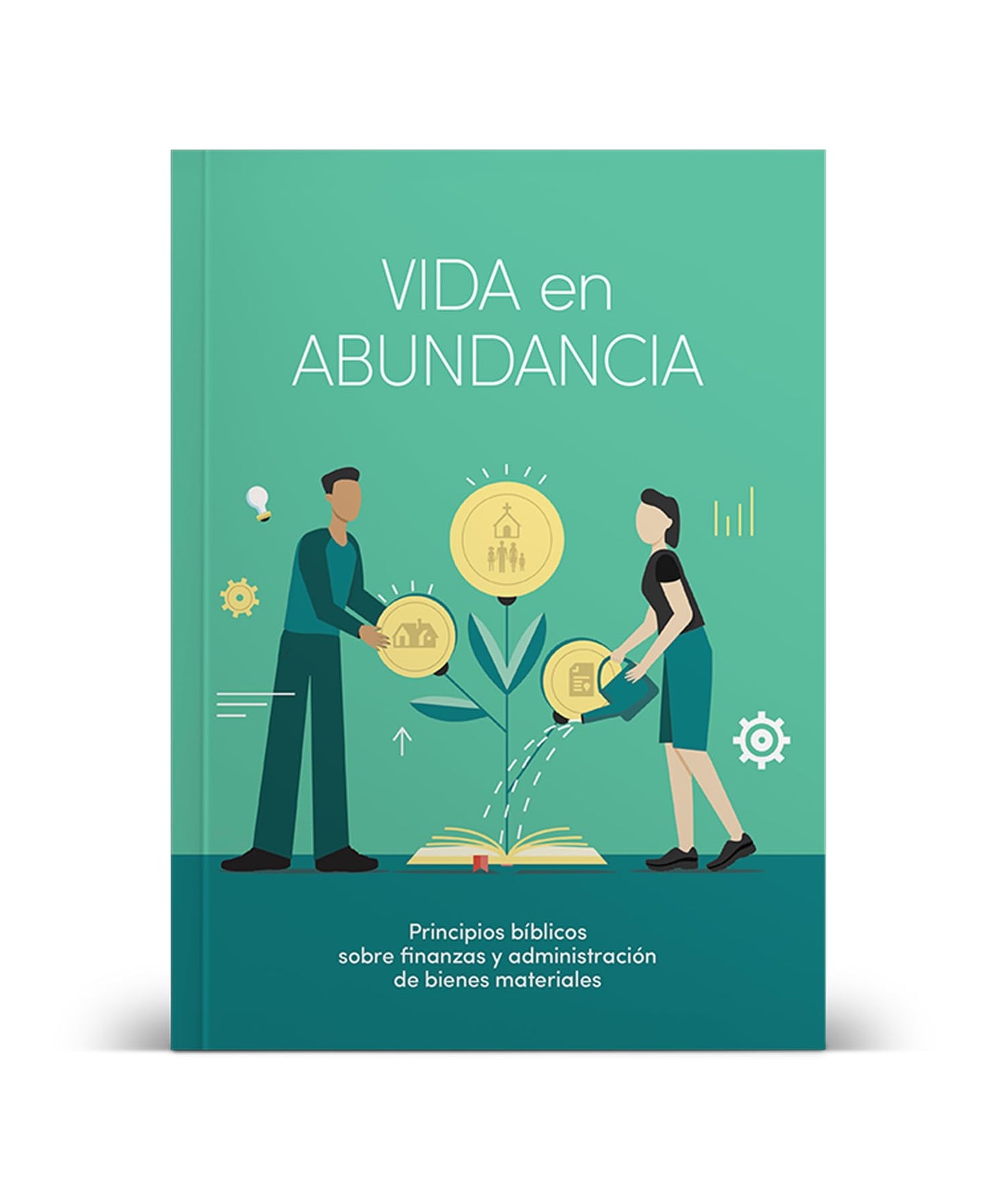 Vida en abundancia - Estudio bíblico: Principios de administración cristiana