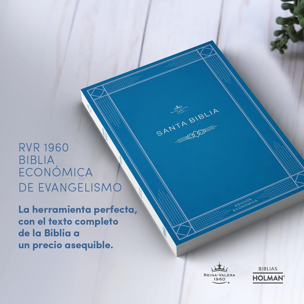 RVR 1960 Biblia edición económica, azul tapa rústica | RVR 1960 Economic Bible Blue Paperback