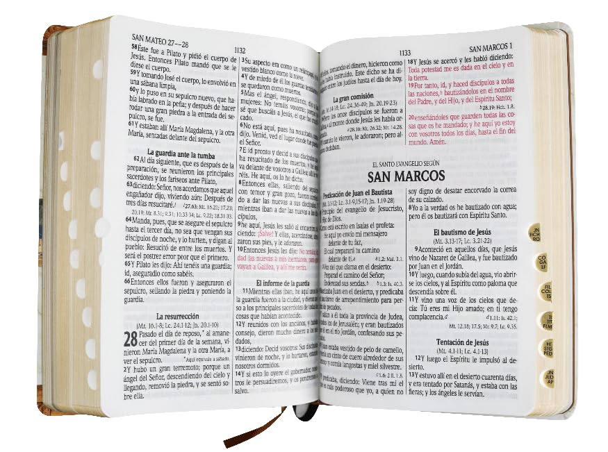 Biblia RVR 1960 Enciclopedia Bíblica - Letra grande, palabras de Jesús en rojo, con concordancia