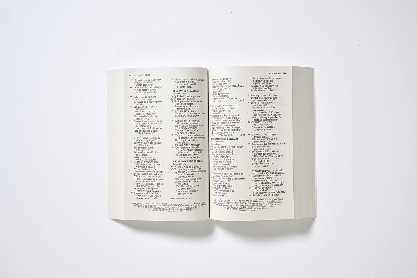 Nbla Santa Biblia, Edición Económica, Letra Grande, Tapa Rústica Pasta blanda – Texto grande