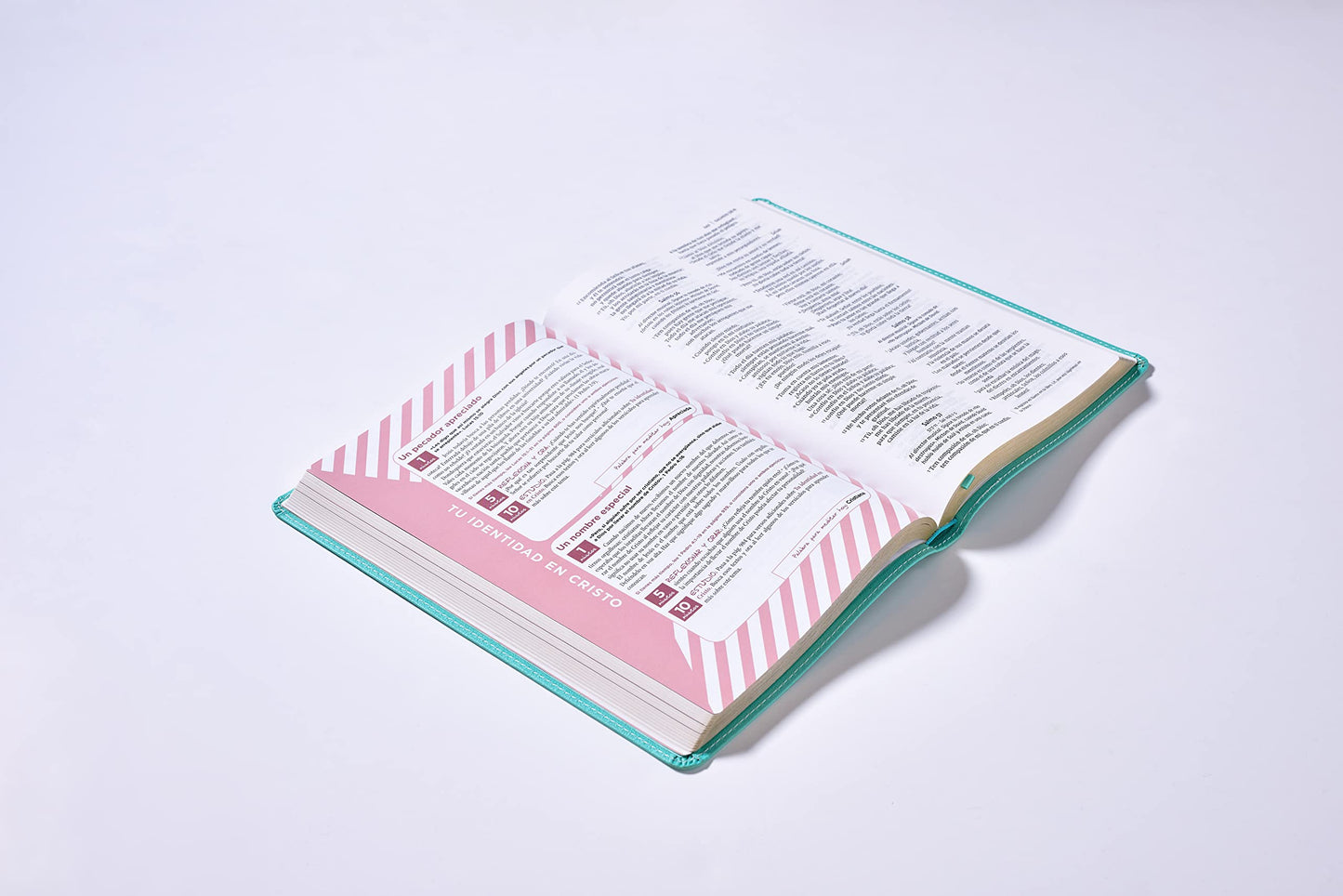 NVI Biblia de la Mamá Ocupada, Leathersoft, Truquesa, Edición Letra Roja: Inspiración Diaria Aun Cuando Solo Tienes Un Minuto