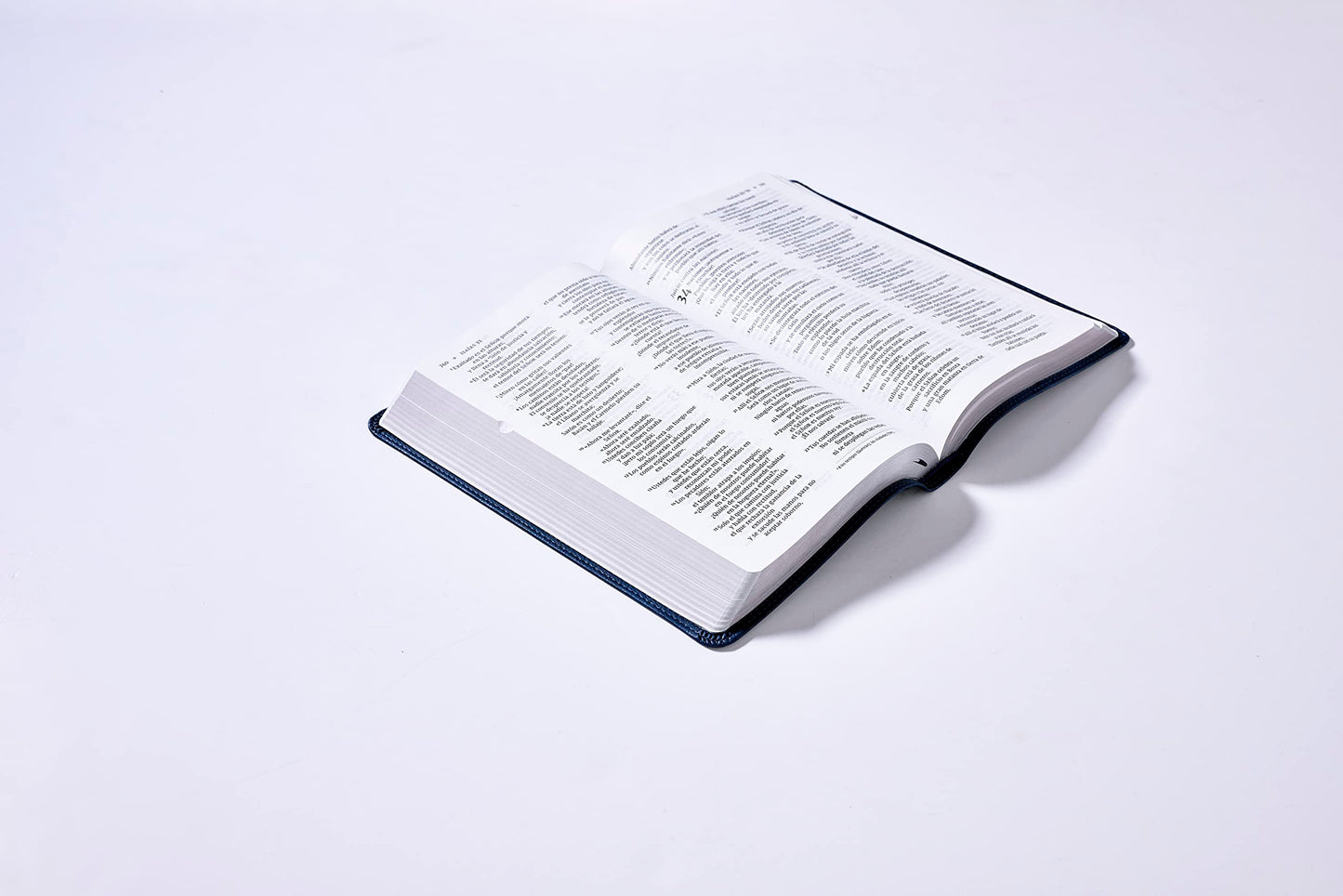 Nvi, Santa Biblia del Ministro, Texto Revisado 2022, Leathersoft, Azul Marino, Con Índice, Palabras de Jesús En Rojo