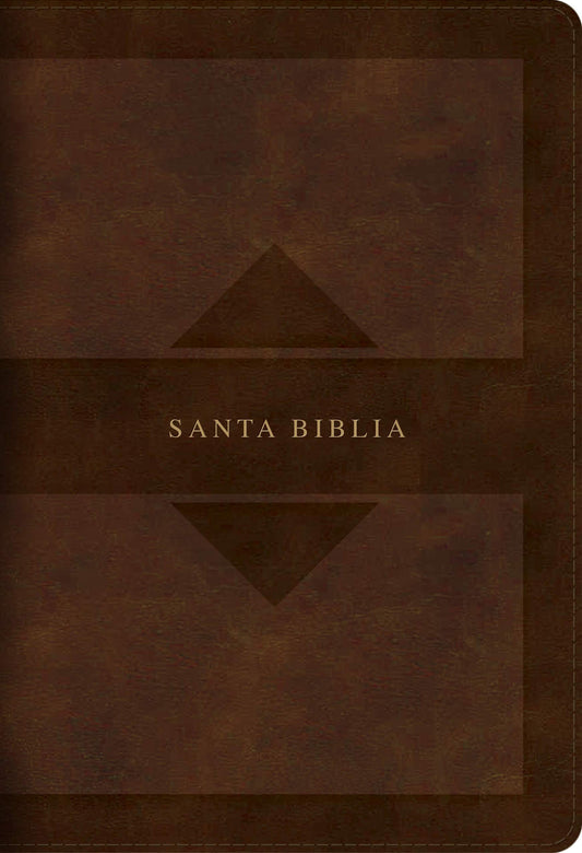 Rvr 1960 Biblia Letra Grande Tamaño Manual Edición Tierra Santa, Café Símil Piel Mass Market