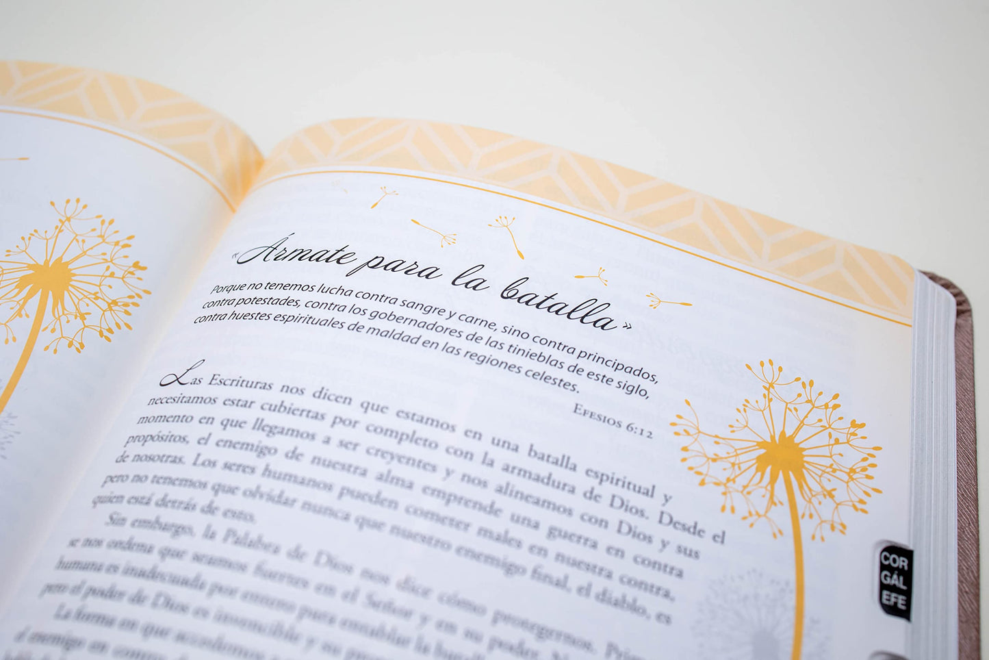 Biblia de promesas Inspira- Oro Rosado - Reina Valera 1960- Letra Grande (Spanish Edition): Edicion Para Mujeres