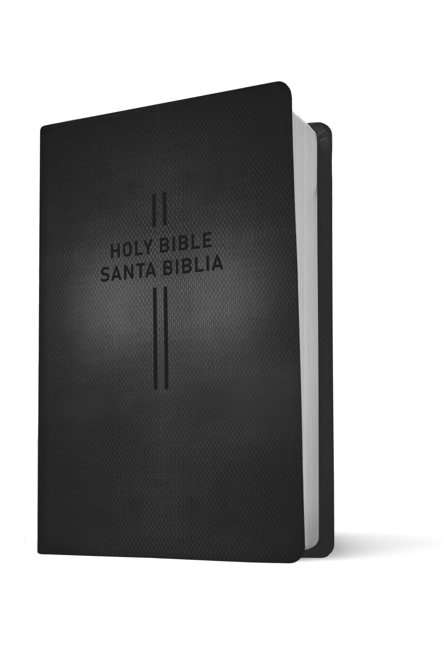 Bilingual Bible / Biblia Bilingue NLT/Ntv