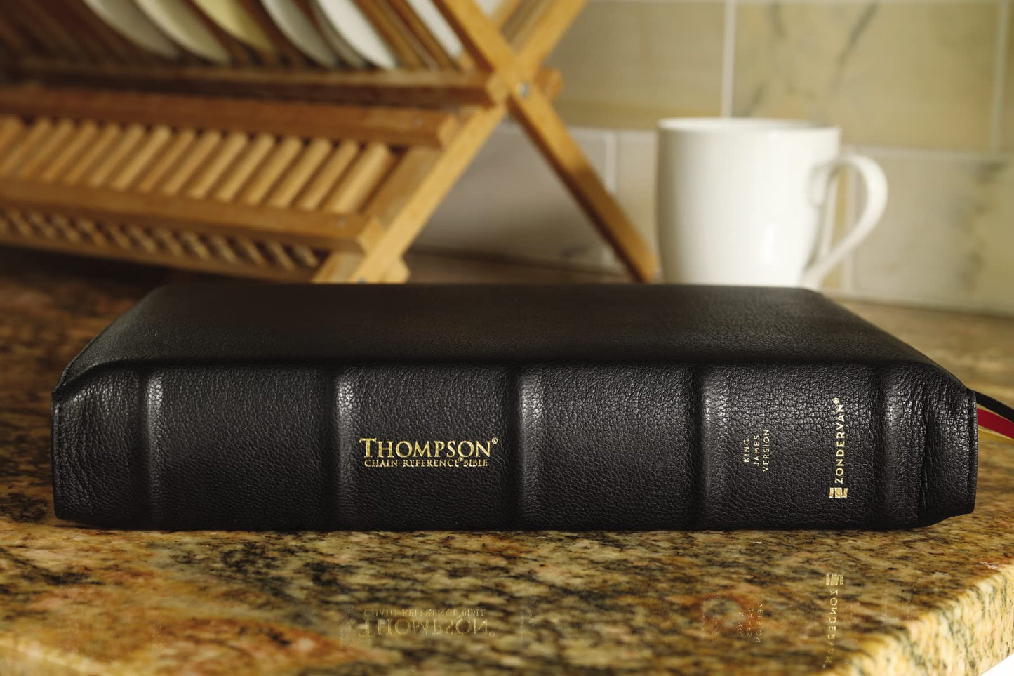 KJV, Thompson Chain-Reference Bible, Premium Goatskin Leather, Black, Premier Collection, Art Gilded Edges, Black Letter, Comfort Print