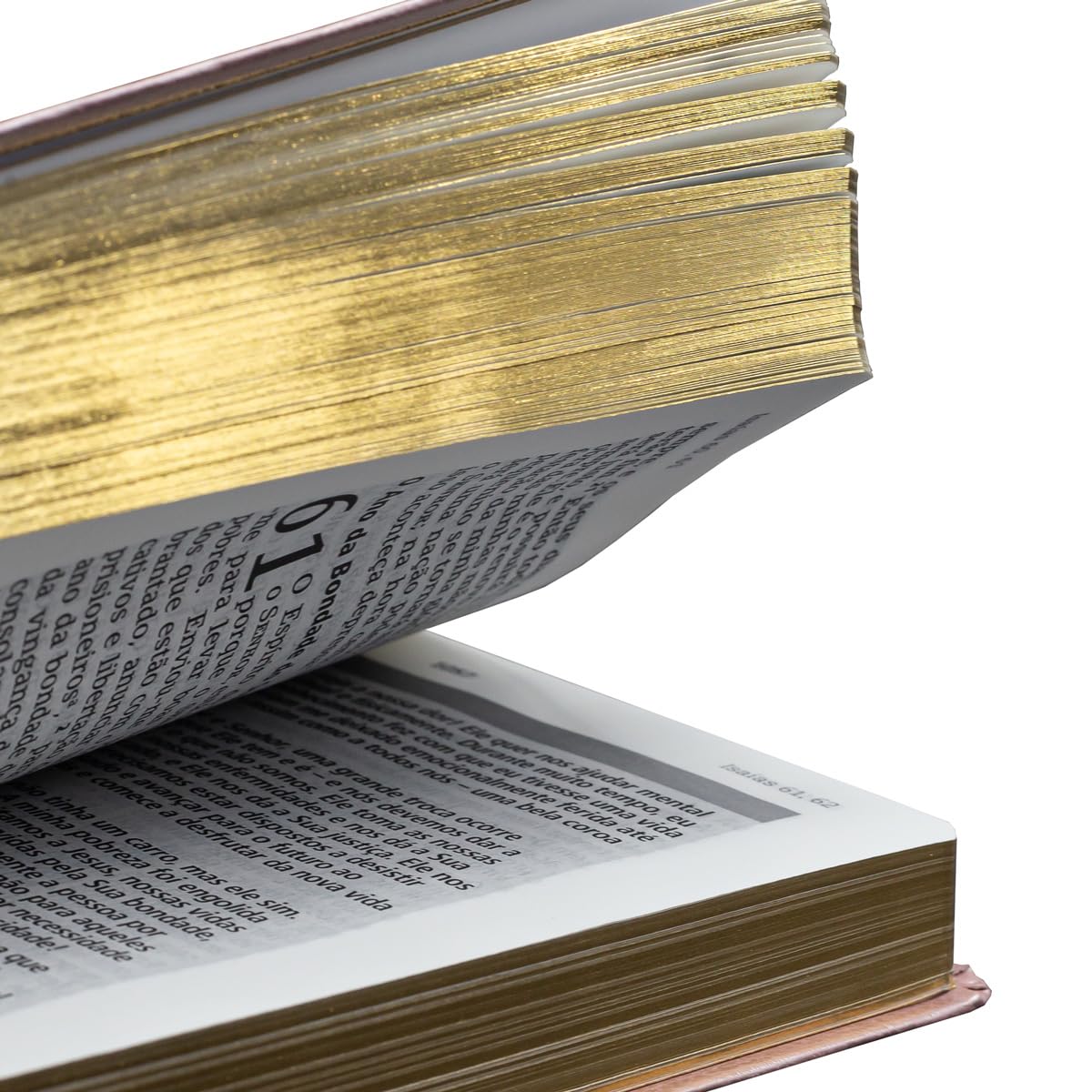 Bíblia de Estudo | Joyce Meyer | NVI | Letra Grande | Rosa - Portuguese Edition