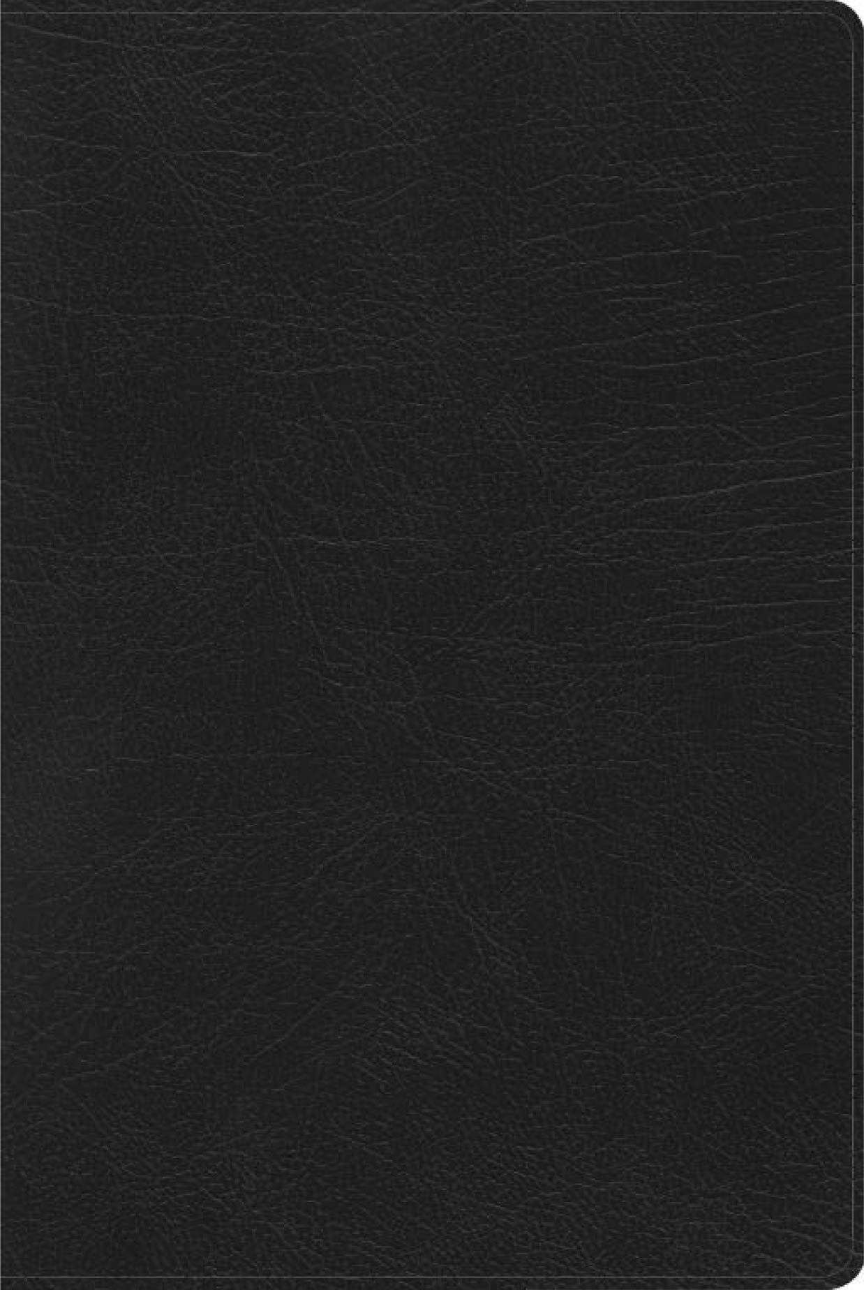 RVR 1960 Biblia de Estudio Arcoiris, negro símil piel/ Rainbow Study Bible RVR 1960 black, LeatherTouch