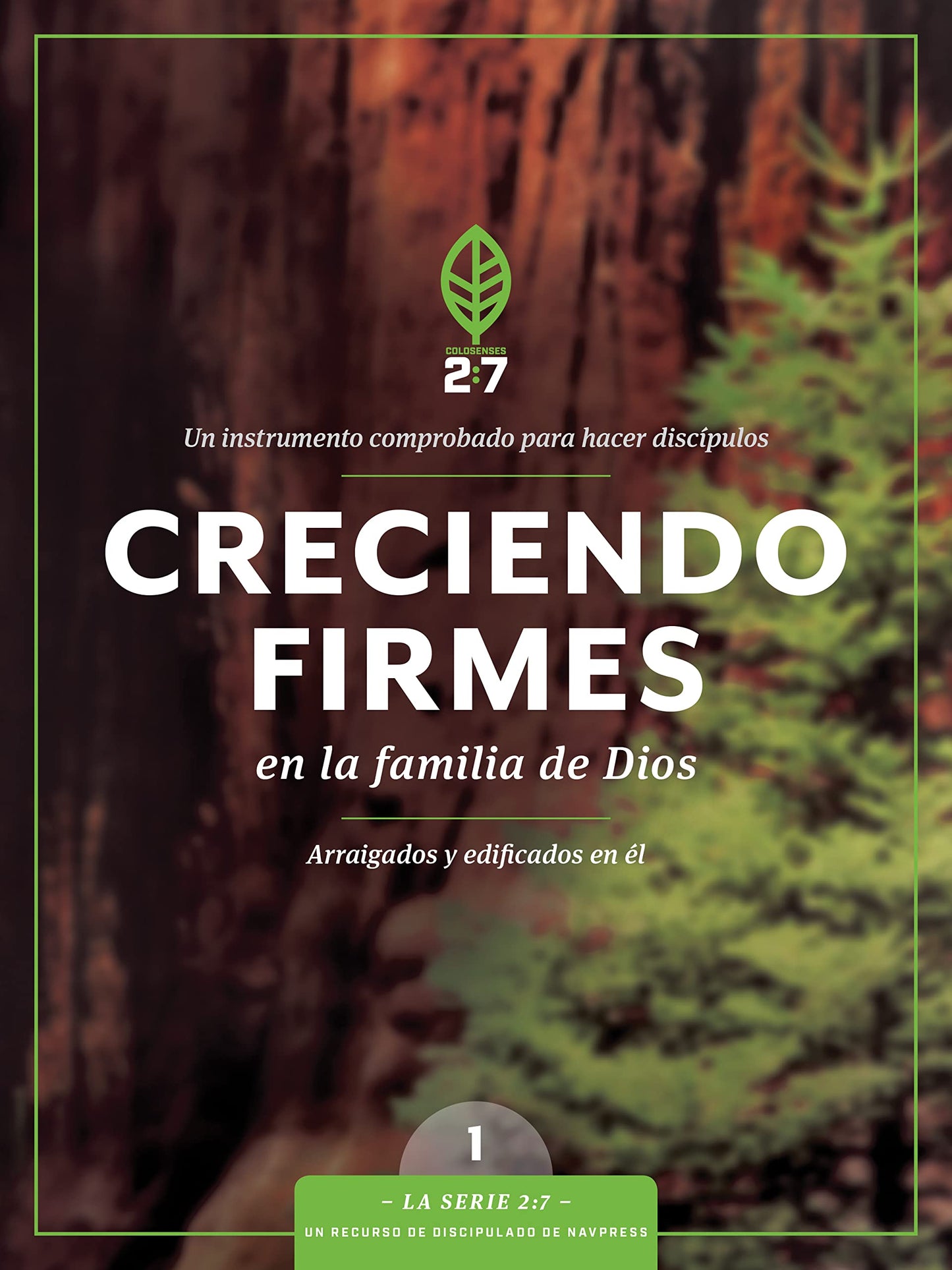 Creciendo Firmes En La Familia de Dios: Un Curso de Discipulado Para Fortalecer Su Caminar Con Dios: 1