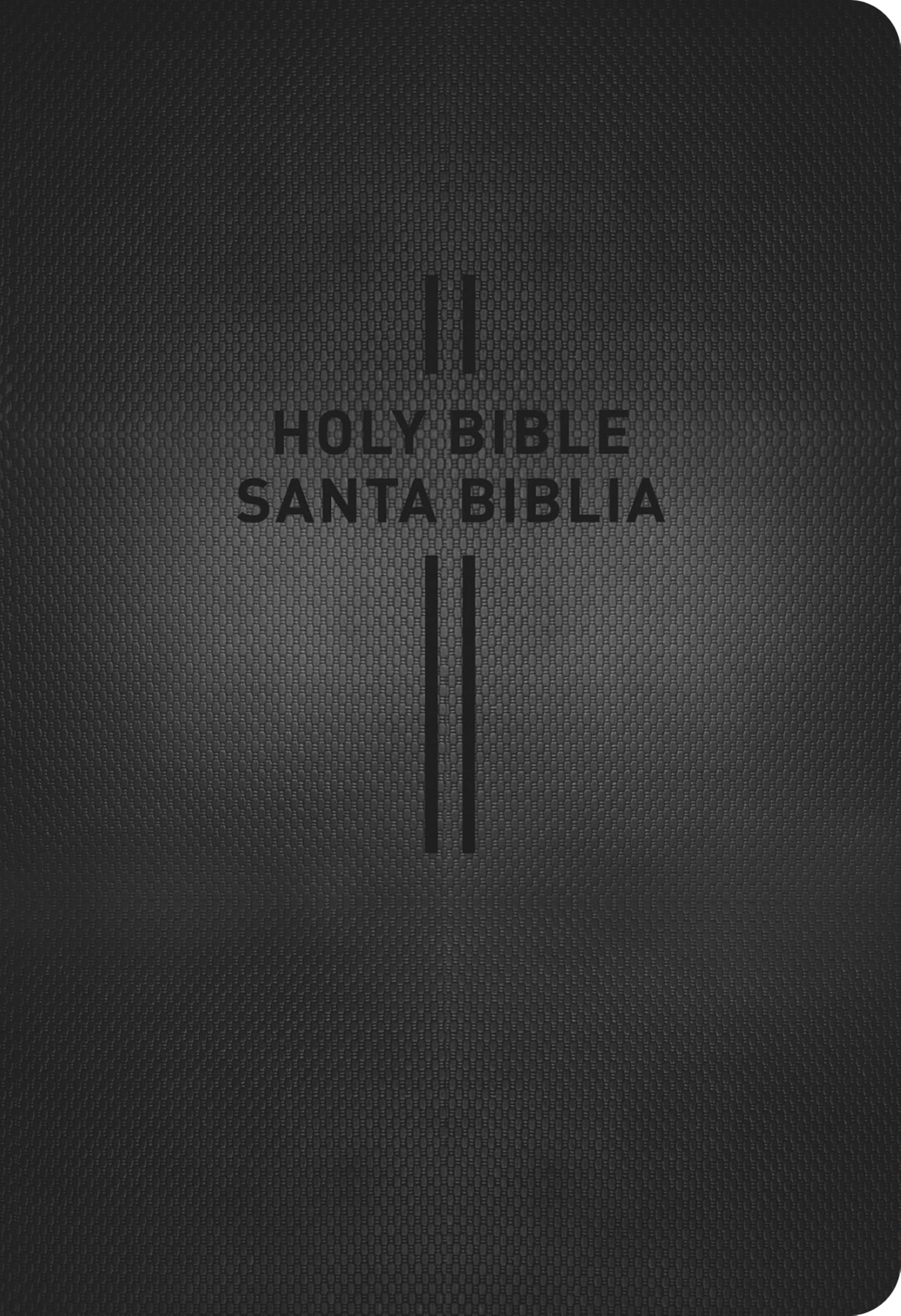 Bilingual Bible / Biblia Bilingue NLT/Ntv