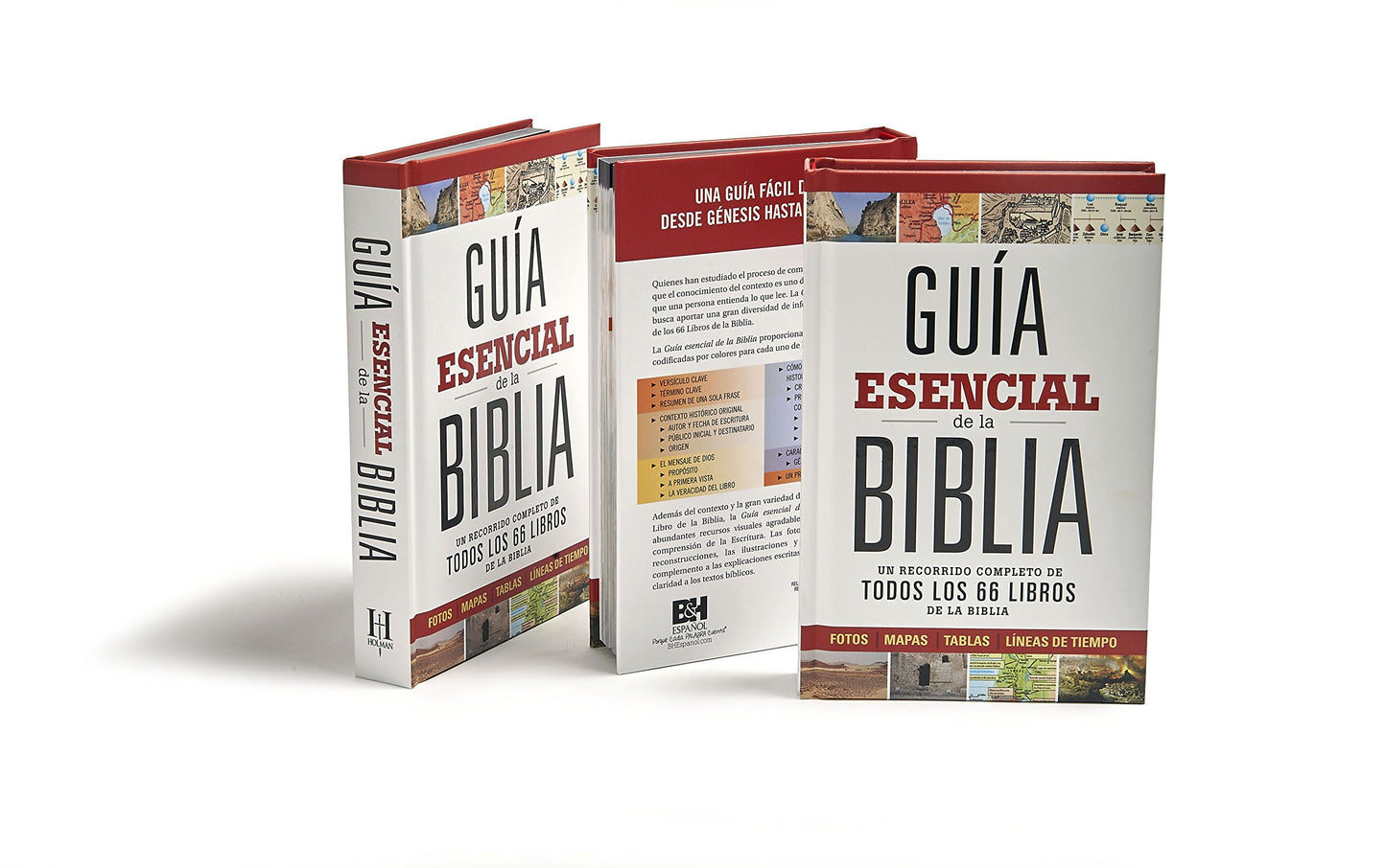 Guía esencial de la Biblia | Ultimate Bible Guide: Un Recorrido Completo de Todos Los 66 Libros de la Biblia