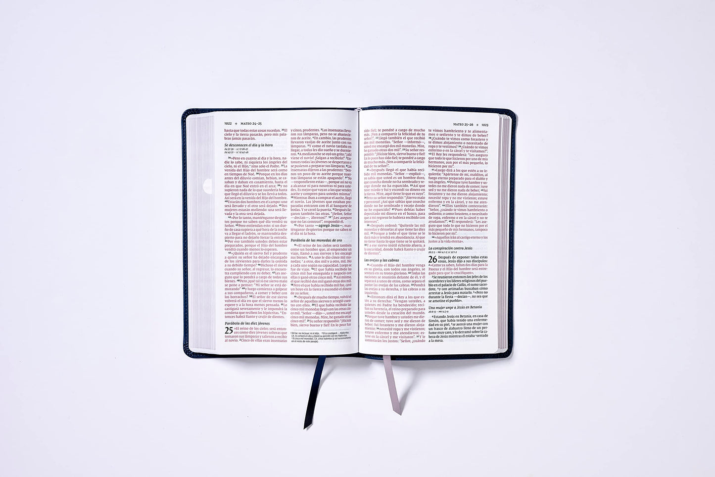 Nvi, Santa Biblia del Ministro, Texto Revisado 2022, Leathersoft, Azul Marino, Con Índice, Palabras de Jesús En Rojo
