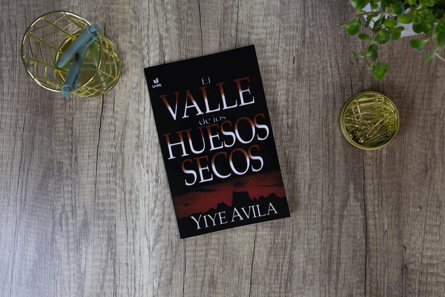 El Valle de Los Huesos Secos: The Valley of Dry Bones