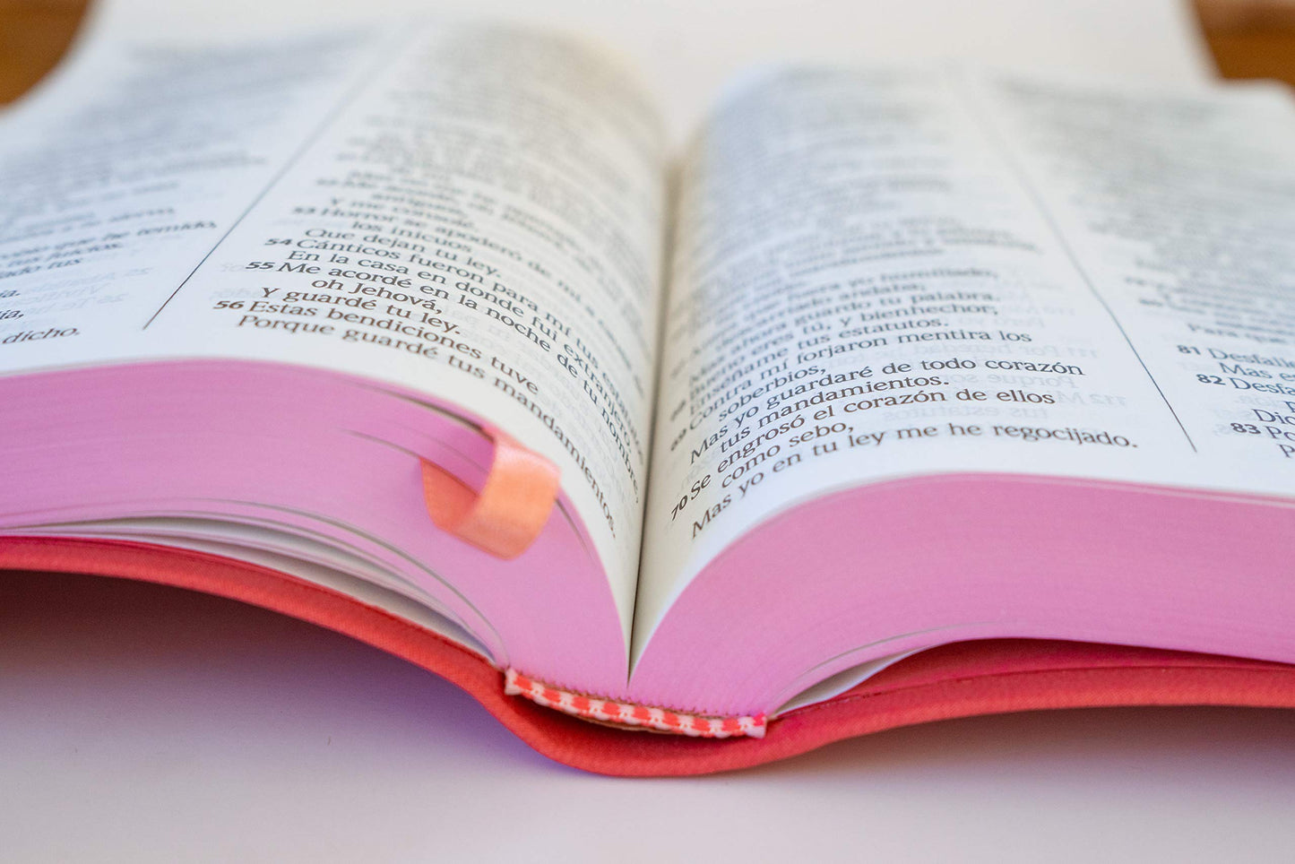 Biblia Letra Grande Palabras De Jesús En Rojo/ Fucsia