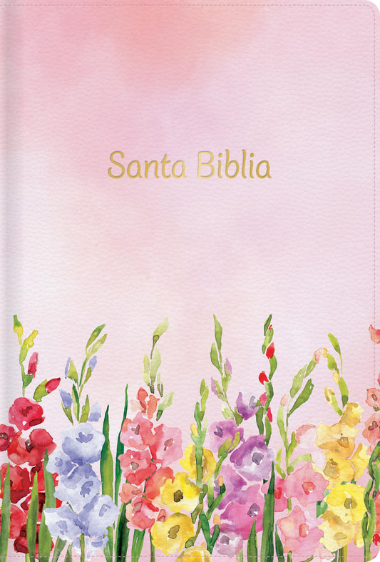 RVR 1960 Biblia letra grande tamaño manual edición especial, fucsia símil piel: Santa Biblia