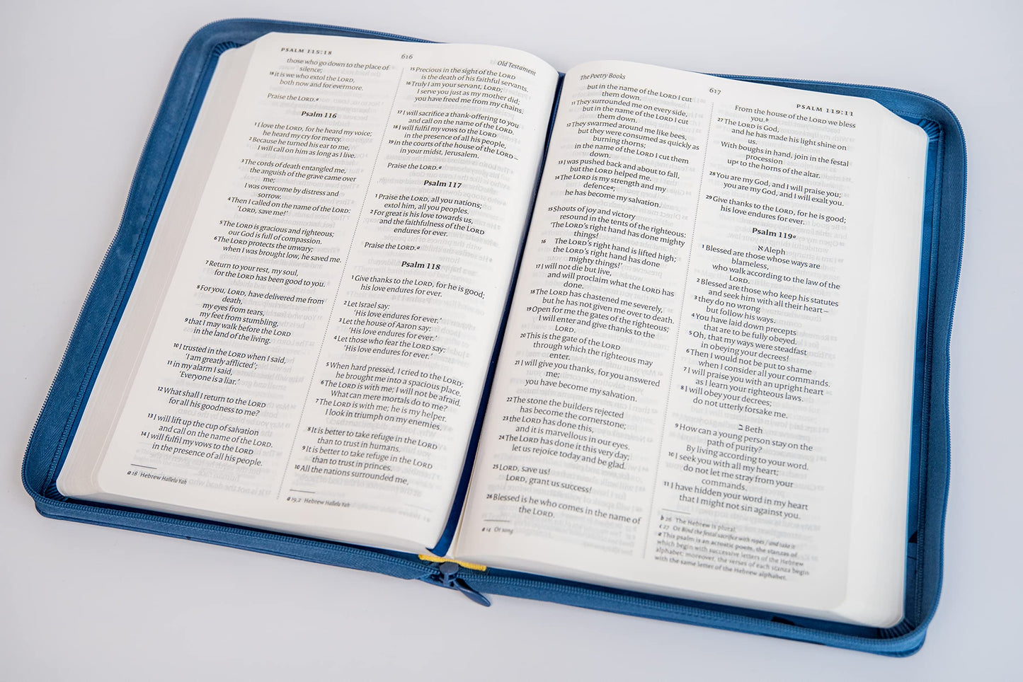 NIV Larger Print Blue Soft-tone Bible with Zip