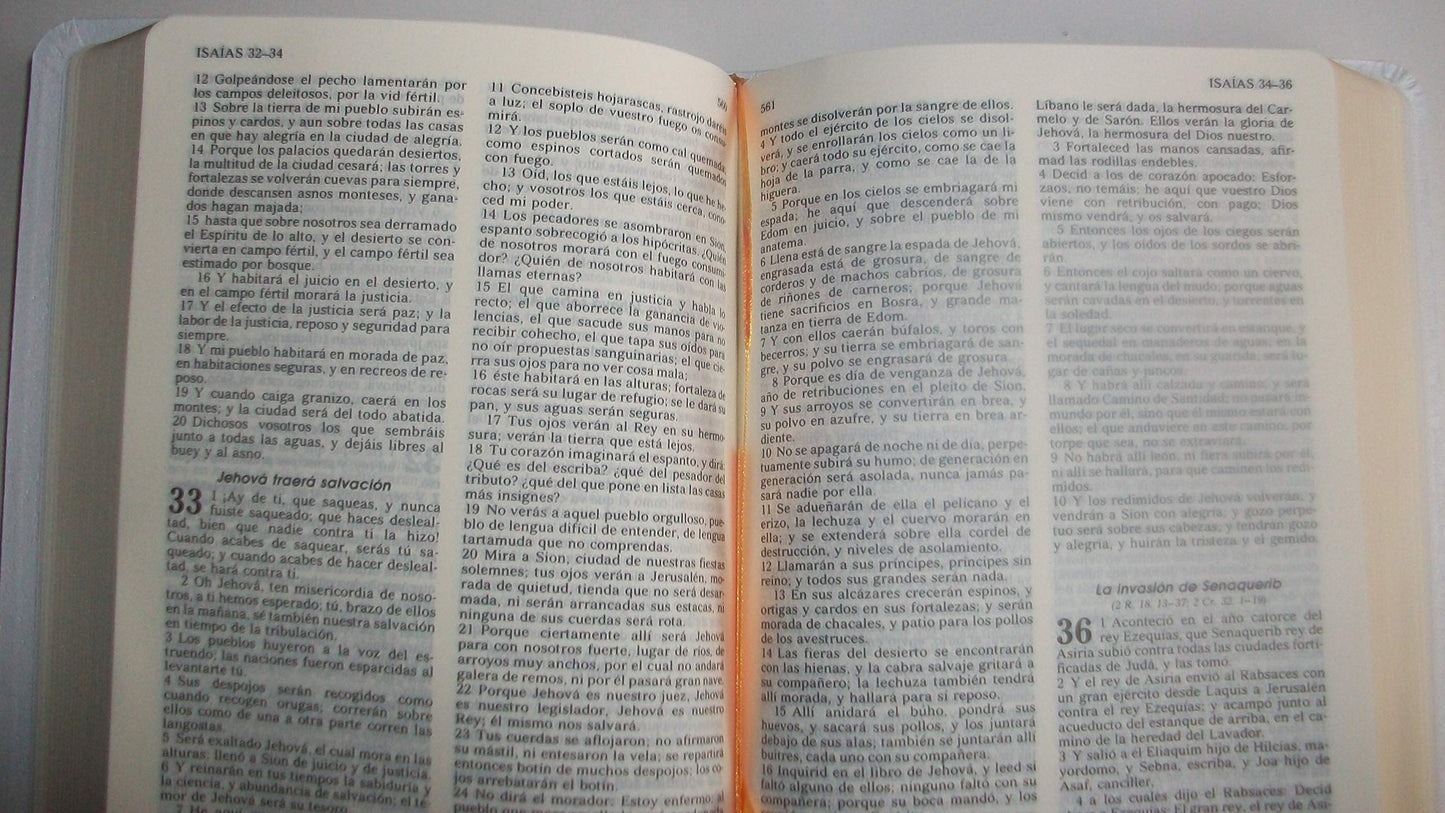 Biblia Reina Valera 1960: Mediano, Bodas, Imitacion Piel, Blanco