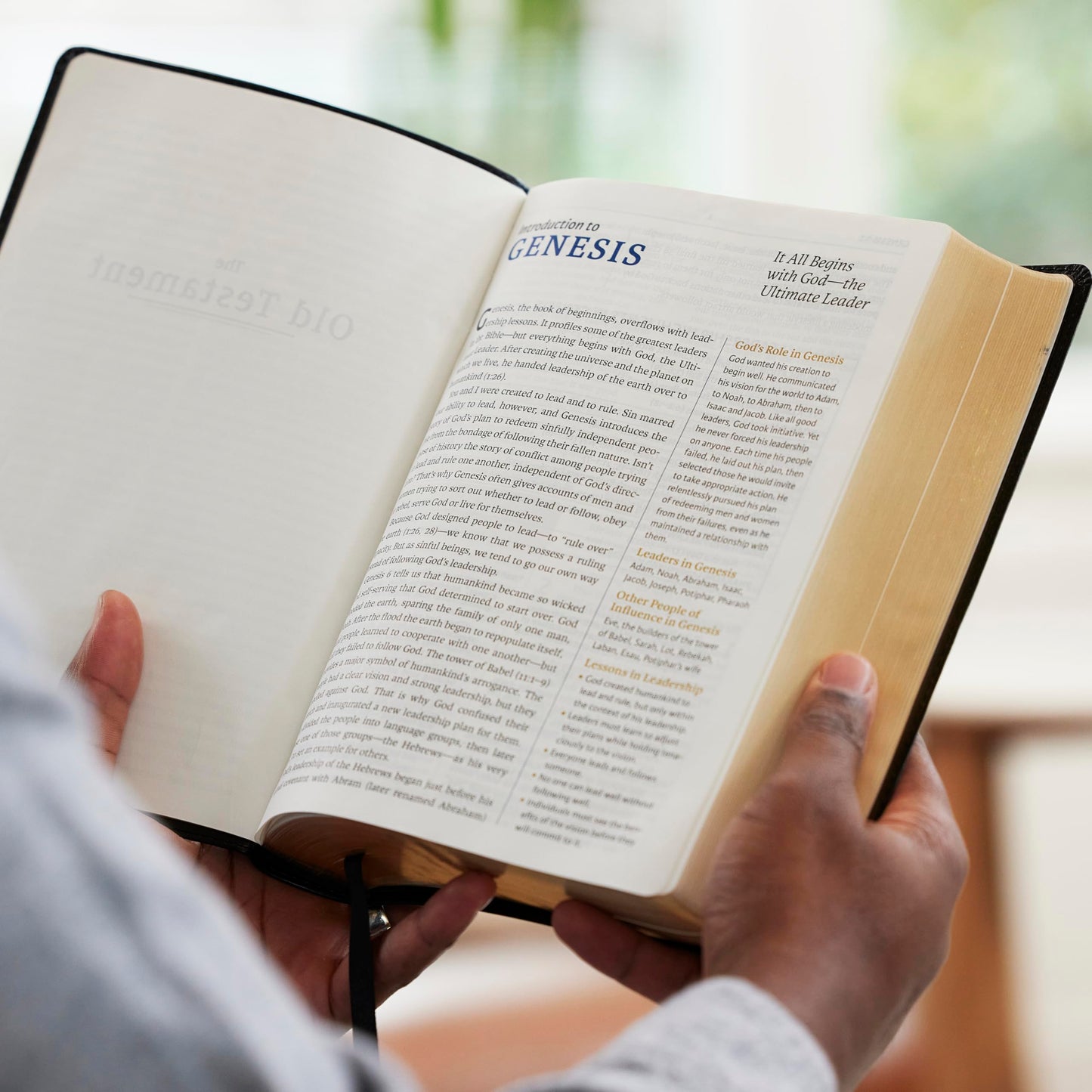 NIV, Maxwell Leadership Bible, 3rd Edition, Premium Bonded Leather, Burgundy, Comfort Print: Holy Bible, New International Version