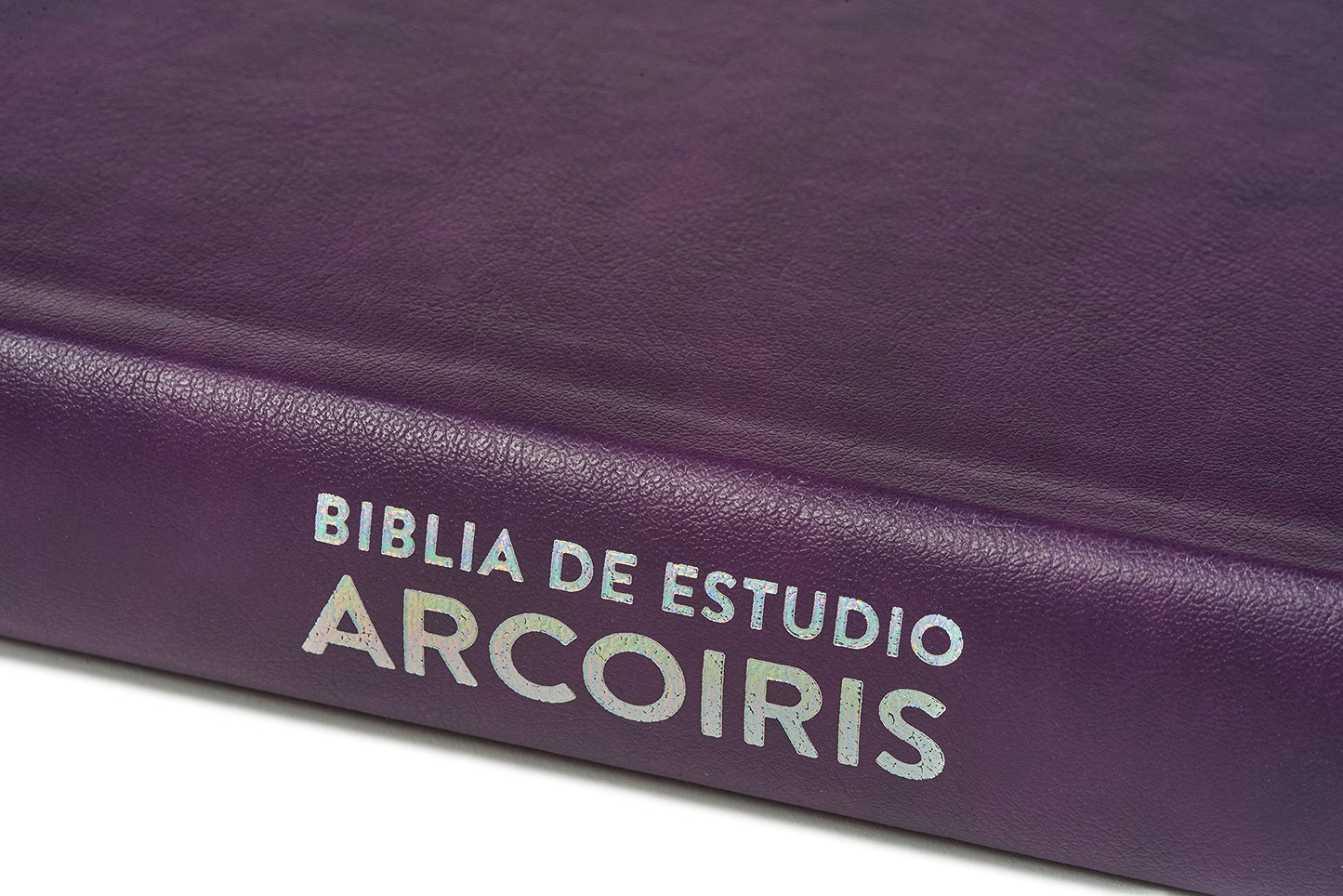 Reina Valera 1960 Biblia de Estudio Arcoiris, morado/multicolor | RVR 1960 Rainbow Study Bible Purple/multicolor LeatherTouch