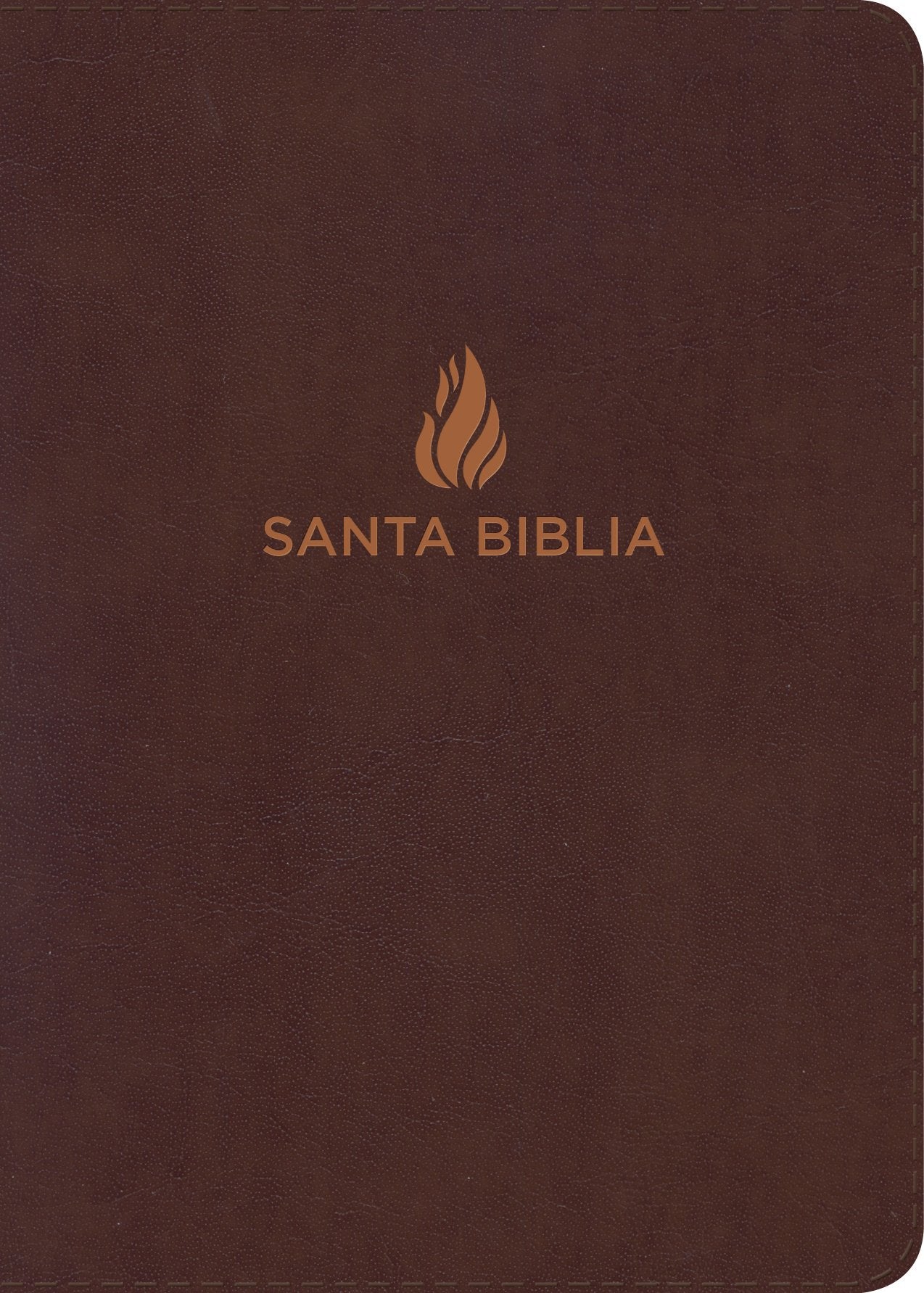 NVI Biblia Letra Grande Tamaño Manual marrón, piel fabricada (Spanish Edition)