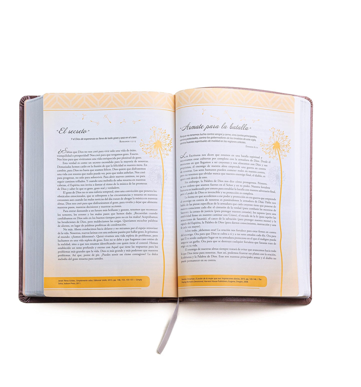 Biblia de promesas Inspira- Oro Rosado - Reina Valera 1960- Letra Grande (Spanish Edition): Edicion Para Mujeres