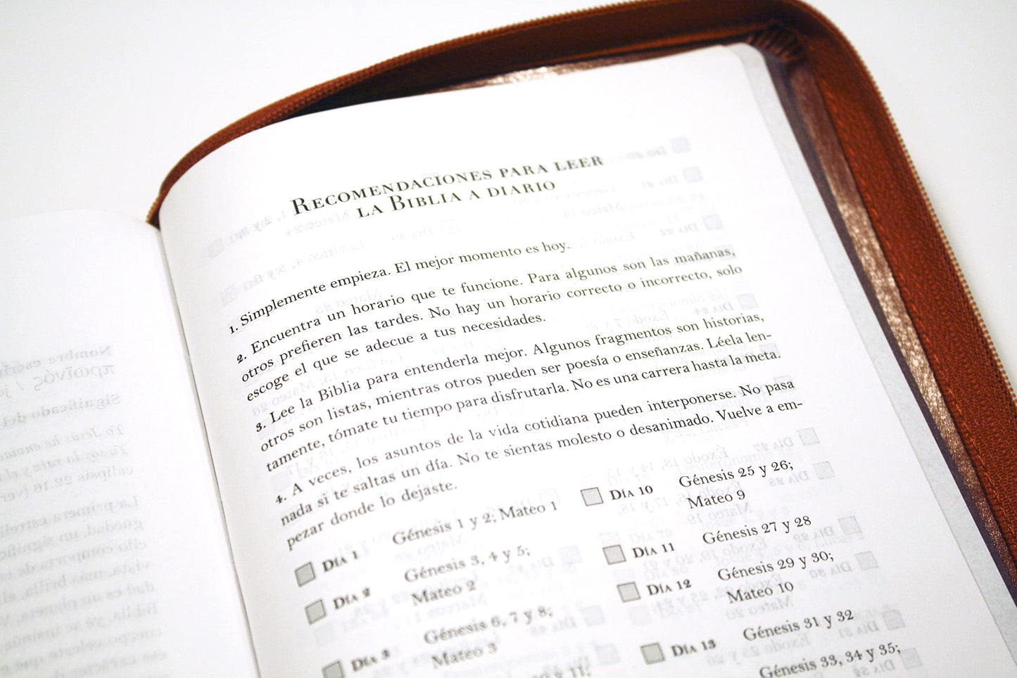 Biblia RV60 Nombres de Dios letra grande tamaño manual piel Canela índice y cremallera