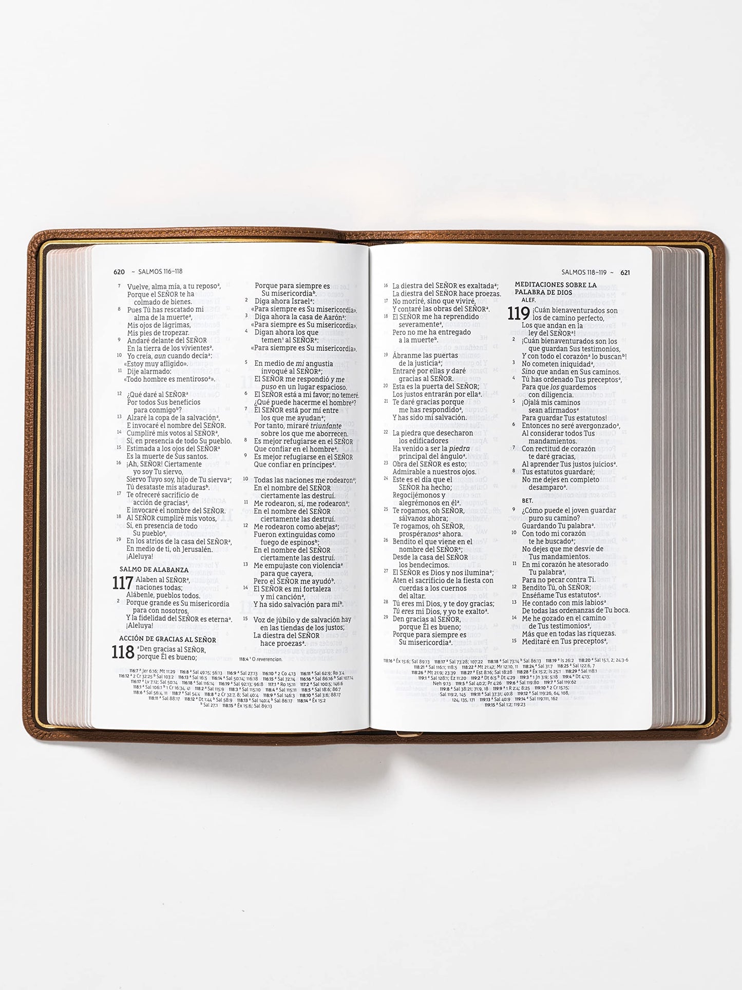 NBLA Biblia Ultrafina, Letra Grande, Colección Premier, Café: Edición Limitada