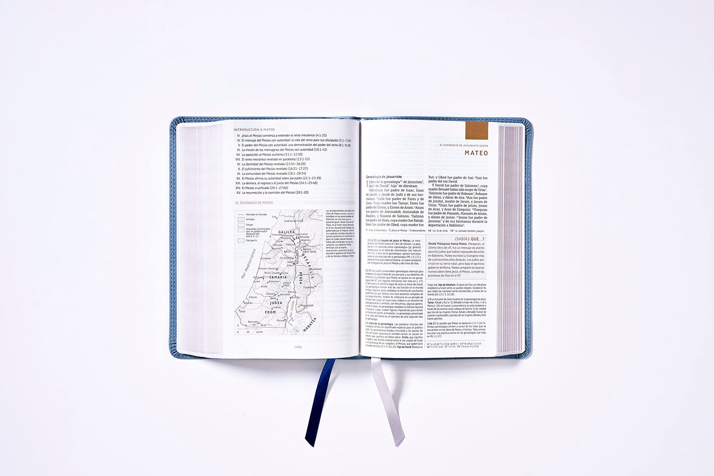 NBLA, Biblia de Estudio, Interior a dos colores, Leathersoft, Gris, Comfort Print
