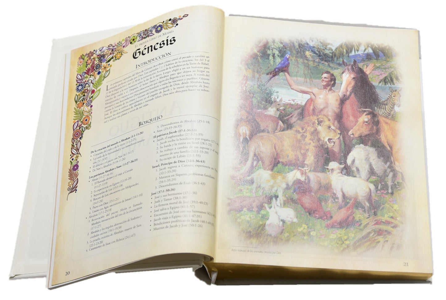 Biblia Reina Valera De Lujo (edición española)