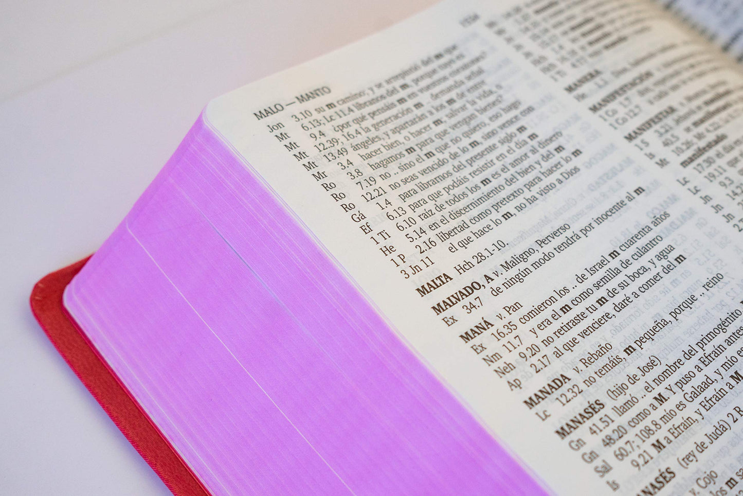 Biblia Letra Grande Palabras De Jesús En Rojo/ Fucsia