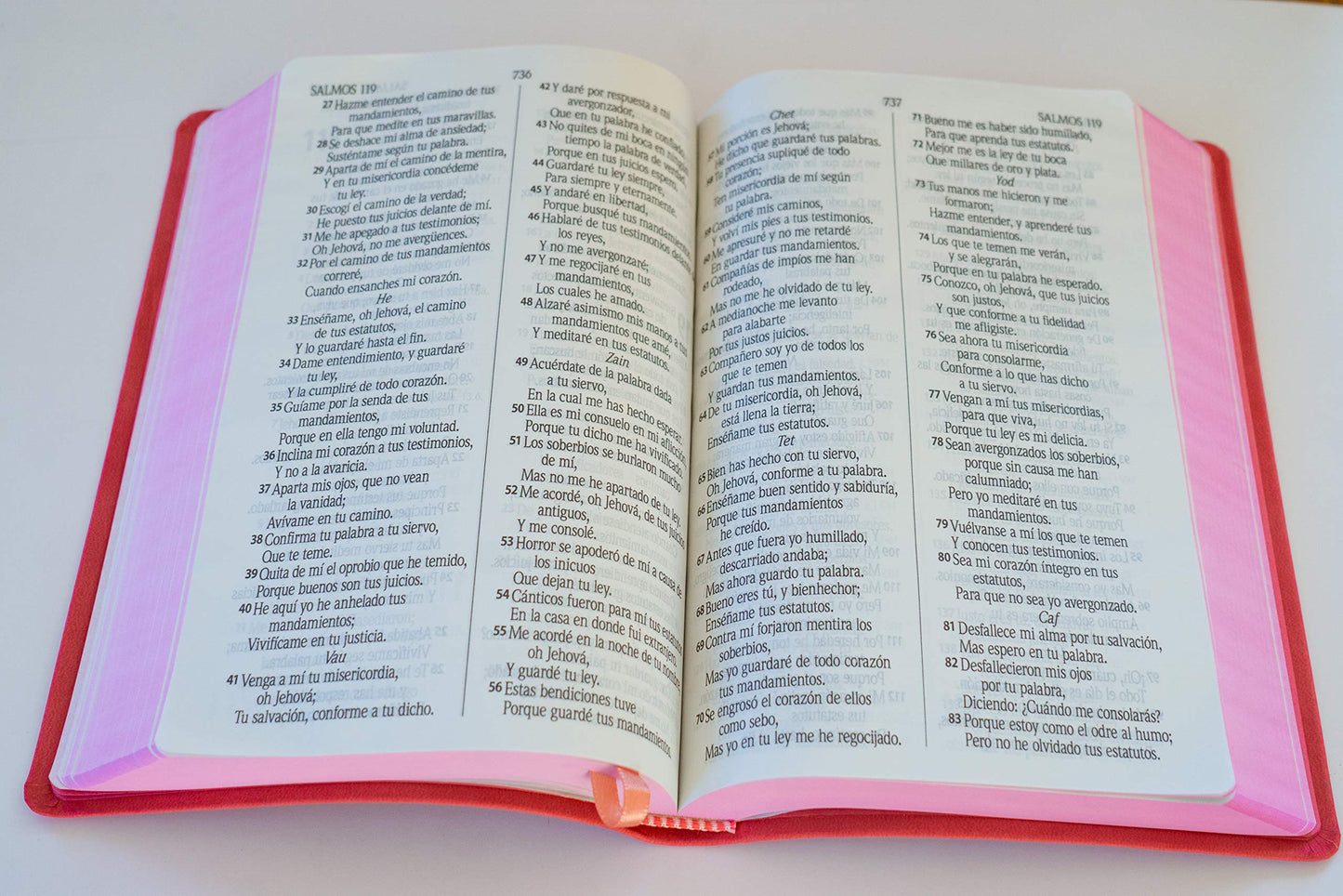 Biblia Letra Grande Palabras De Jesús En Rojo/ Fucsia