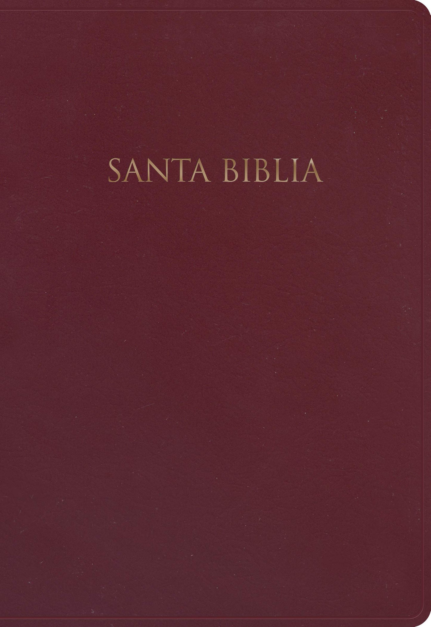 Biblia Nueva Versión Internacional para Regalos y Premios. Imitación piel, borgoña / Gift and Award Holy Bible NVI. Imitation Leather, Burgundy