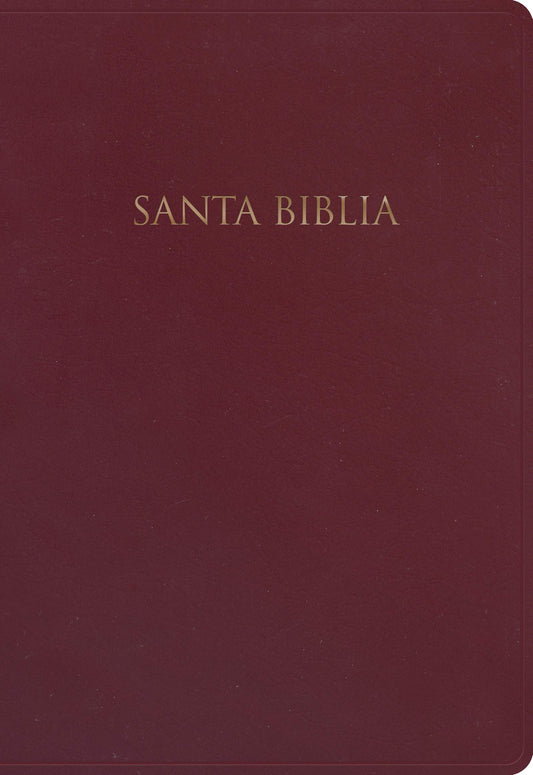 Biblia Nueva Versión Internacional para Regalos y Premios. Imitación piel, borgoña / Gift and Award Holy Bible NVI. Imitation Leather, Burgundy