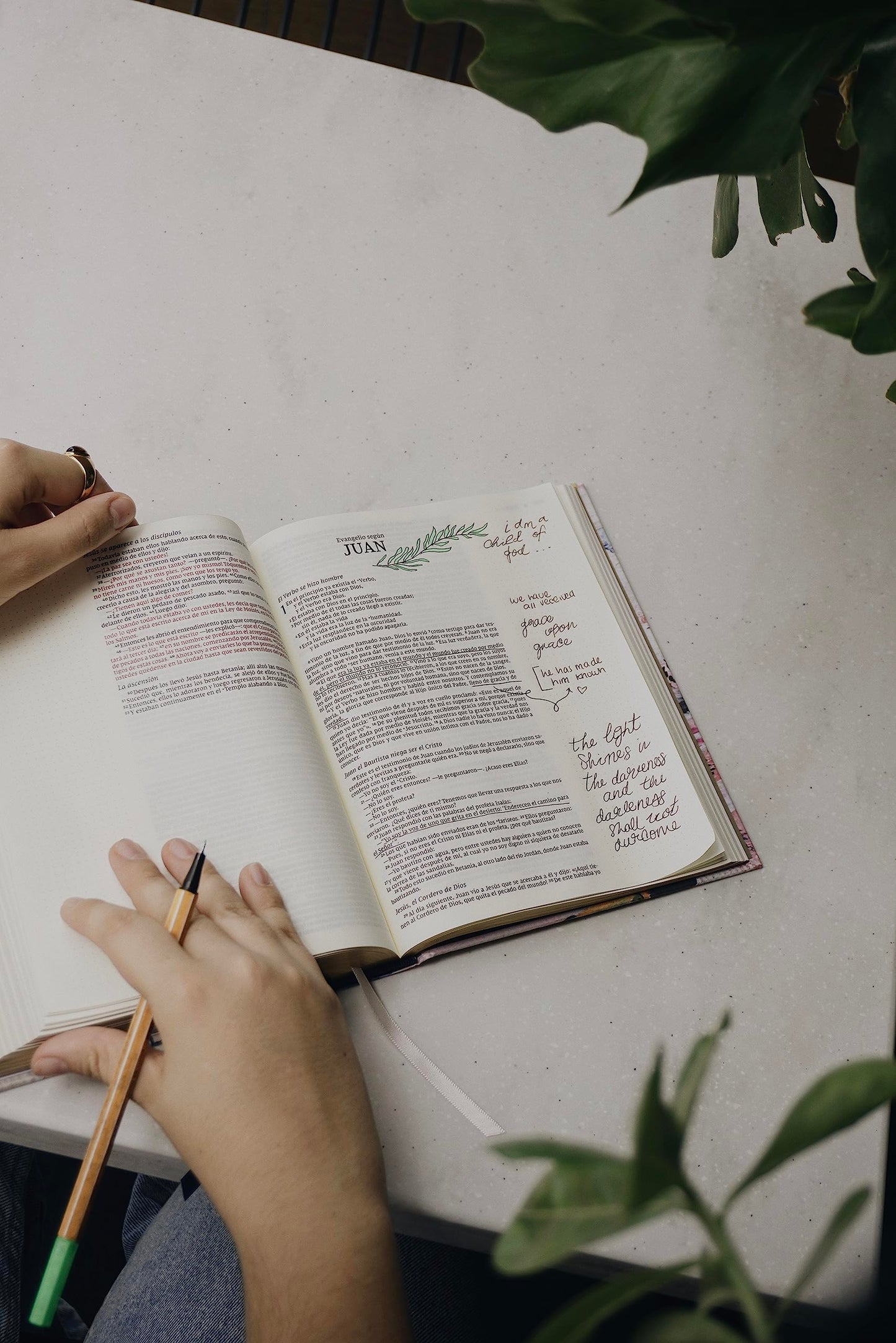 NVI, Santa Biblia, Revisión 2022, Edición Artística, Tapa dura, Palabras de Jesús en Rojo, Comfort Print