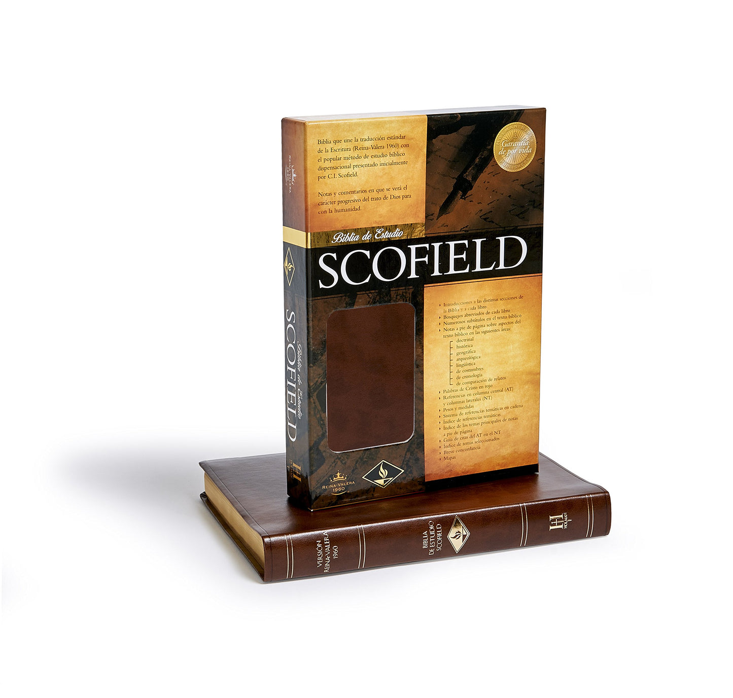 Nueva Biblia de Estudio Scofield-Rvr 1960