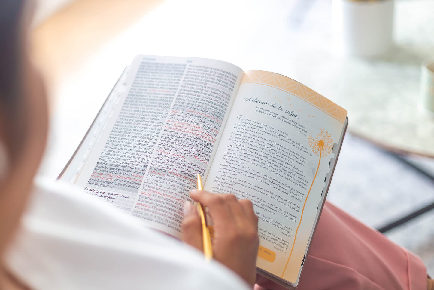 Biblia de promesas Inspira- Oro Rosado - Reina Valera 1960- Letra Grande (Spanish Edition): Edicion Para Mujeres