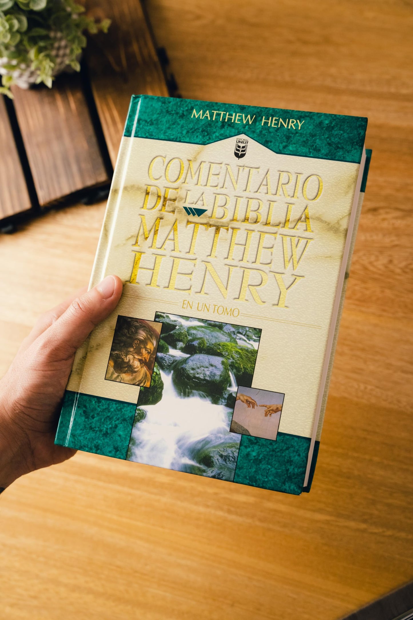 Comentario de la Biblia Matthew Henry: En un Tomo