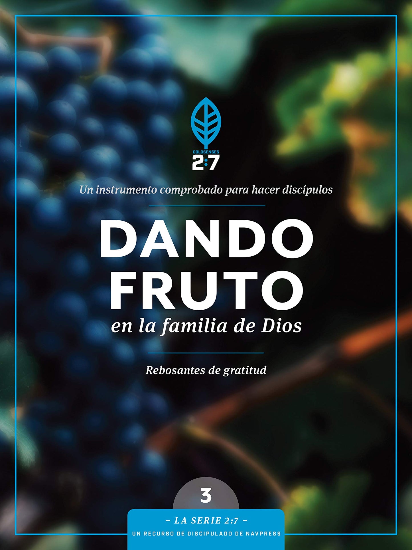 Dando Fruto En La Familia de Dios: Un Curso de Discipulado Para Fortalecer Su Caminar Con Dios: 3