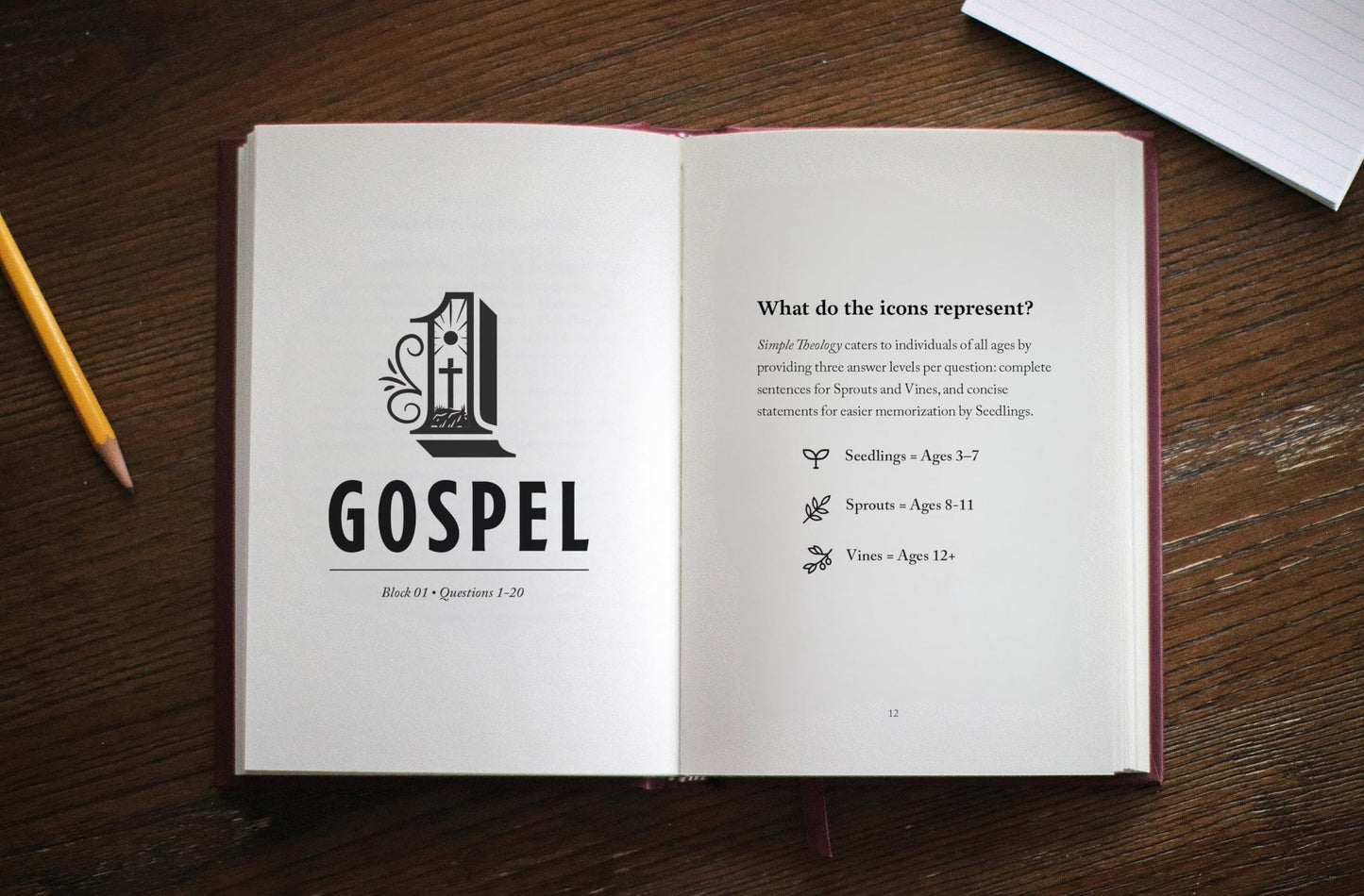 ▶ Simple Theology: A Gospel Catechism for Kids